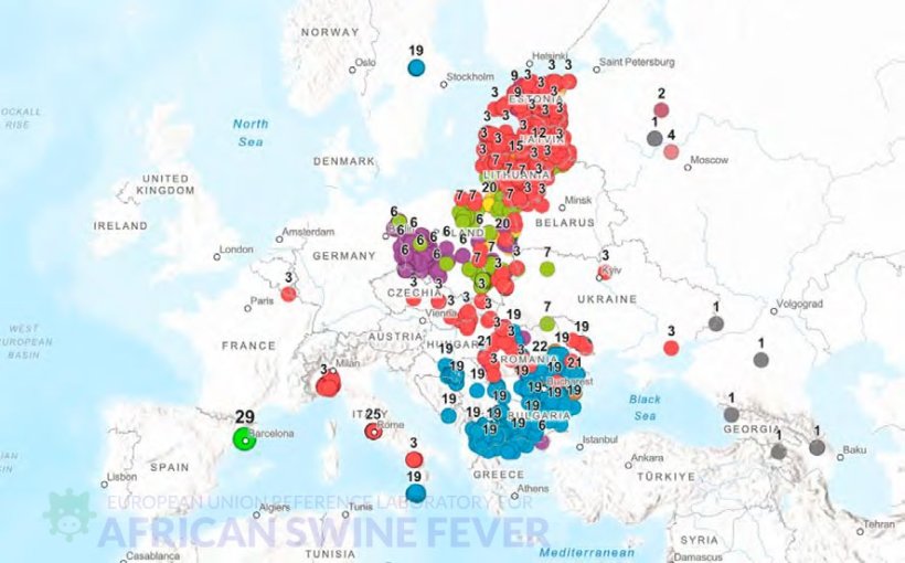 Geographical distribution of the genetic subgroups&nbsp;of genotype II ASF virus in Europe, highlighting genetic group 29 detected in Spain (Source: EURL-ASF).
